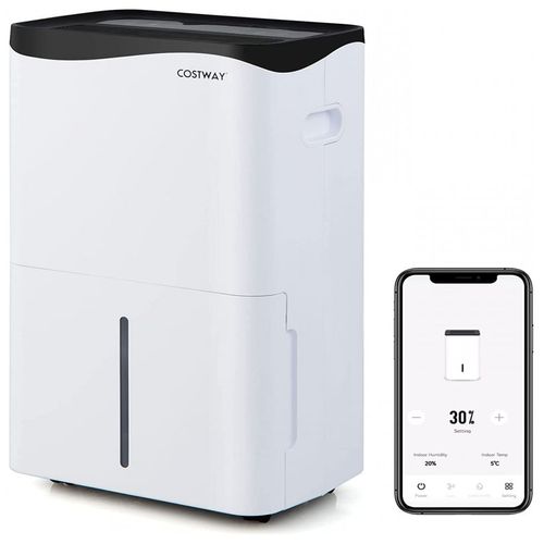 image-91045201b0d64102812d3ddb54b81d5d image-91045201b0d64102812d3ddb54b81d5d