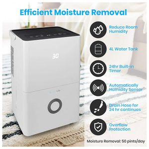 image-3aa6151270ae409193a0dc3bbe201e08 image-3aa6151270ae409193a0dc3bbe201e08