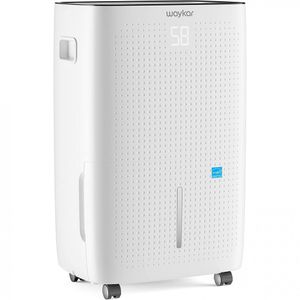 image-4e74005784374457b8bc04378c246916