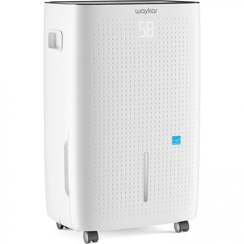 image-4e74005784374457b8bc04378c246916 image-4e74005784374457b8bc04378c246916