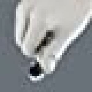 image-dd92df54eee74b2da1d1a7d2b21c0a3c