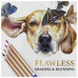 image-a2944f9356e548d6904161a9b484819a image-a2944f9356e548d6904161a9b484819a