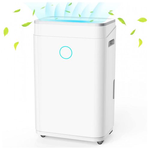 image-0dc87d968c934043a20ea8d87e8f0b34 image-0dc87d968c934043a20ea8d87e8f0b34