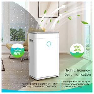 image-1a2cc465dece4de6af9b4ee423a741ae image-1a2cc465dece4de6af9b4ee423a741ae