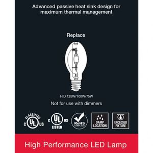 image-78228eb731784862895a83db078ac475 image-78228eb731784862895a83db078ac475