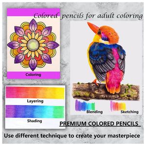 image-1f0e9902839c4724a37a51464a374217 image-1f0e9902839c4724a37a51464a374217