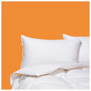 image-9cf025f4f4494c2f918e129e78a56b6c image-9cf025f4f4494c2f918e129e78a56b6c