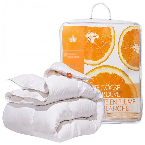 image-fbed7bee84b14ee5aaa620447b6b8e56 image-fbed7bee84b14ee5aaa620447b6b8e56