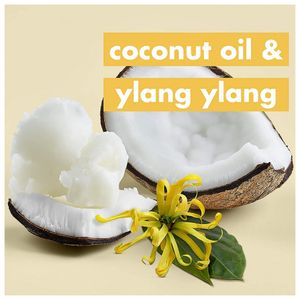 image-c82ff131a0734923b00263b80fc93778 image-c82ff131a0734923b00263b80fc93778