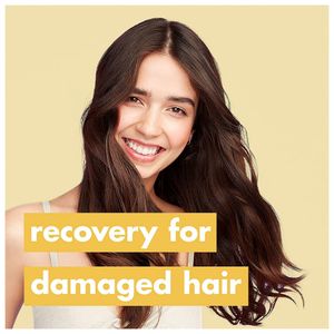 image-df04c101f6824919b113d992653c37f7 image-df04c101f6824919b113d992653c37f7