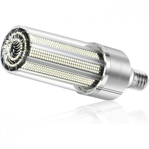 image-69d48bc020a54792882b8720c076e542 image-69d48bc020a54792882b8720c076e542