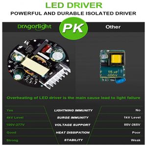 image-dcc3ef835c11481fadbc5323ee4f9382