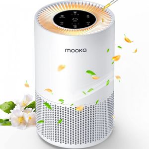 image-be9e44e58e74417a8a95391056dd31a9