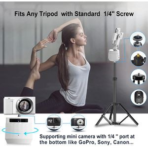 image-08fc899c5ce54cfe88b45ddda102cc38