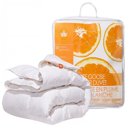 image-f13126319e054cc3817b69c7041cc7ec image-f13126319e054cc3817b69c7041cc7ec