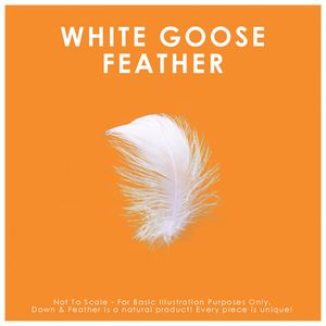 image-6e615347c4cd4e4585501f472386c8af image-6e615347c4cd4e4585501f472386c8af