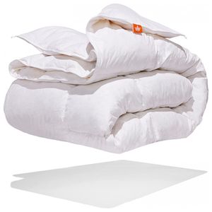 image-f12abd31f69c4da18de31b1e55a80bf3 image-f12abd31f69c4da18de31b1e55a80bf3