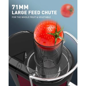 image-f609a9ca1eba403aa1ca94d01e53b0f9