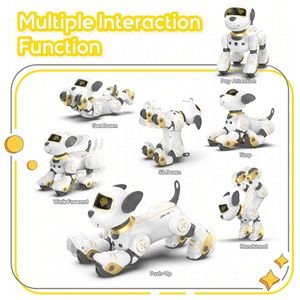 Dinossauro Robô Interativo Programável com Controle Remoto para Crianças de  3 a 10 Anos, DOLLOX, Branco - Dular