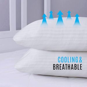 image-6ec2d7d212f345b492f1c5b651aa9570 image-6ec2d7d212f345b492f1c5b651aa9570