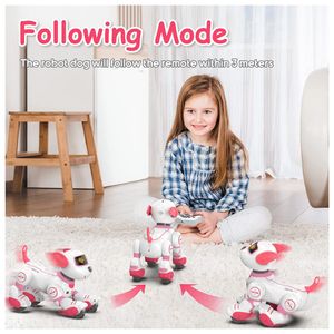 image-bf2158b098fa415eb2da935cd9c8a0e0