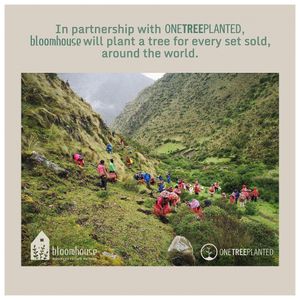 image-4fa36bb7b0f5442181ae1328af3ec197 image-4fa36bb7b0f5442181ae1328af3ec197