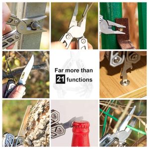 image-798b8b0772a24083bd6e26a728ca6e70 image-798b8b0772a24083bd6e26a728ca6e70