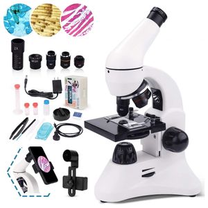 image-d42266daab674658b39b9c7f1db14ed9