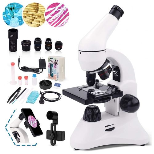 image-d42266daab674658b39b9c7f1db14ed9 image-d42266daab674658b39b9c7f1db14ed9