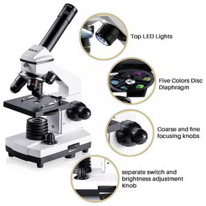 image-0b02c19367f84cc1baf980c4e6628a52 image-0b02c19367f84cc1baf980c4e6628a52