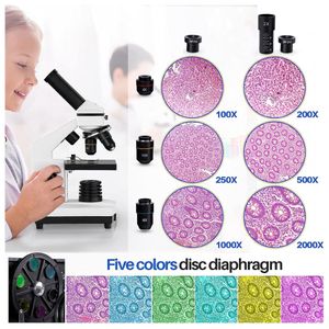 image-2c358594349344eab673c850a133eada image-2c358594349344eab673c850a133eada