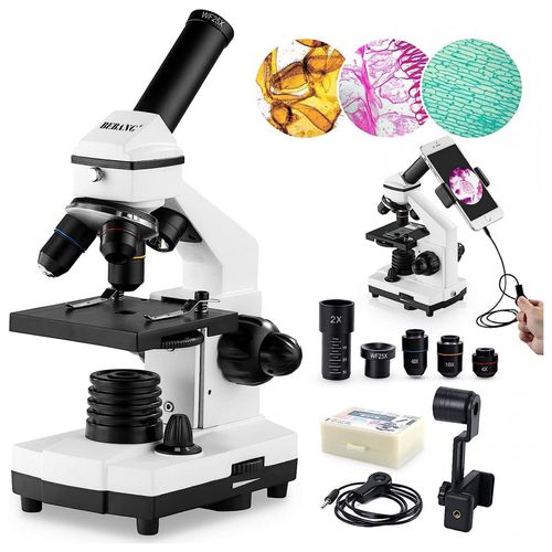 image-d5be028b7b984b3fa47e4a0186374d10 image-d5be028b7b984b3fa47e4a0186374d10