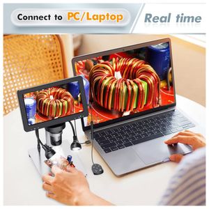 image-cb596f8101e84936871a8f0f81329eed image-cb596f8101e84936871a8f0f81329eed