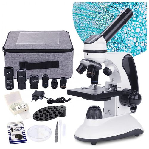 image-d5c68dba9b554b8889c1530c507b9dbb image-d5c68dba9b554b8889c1530c507b9dbb