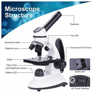 image-4d7682a89e28478fbf88a4197d7cb825 image-4d7682a89e28478fbf88a4197d7cb825