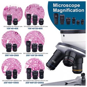 image-82fee426e4ad4dd18756a45e0850e6d9 image-82fee426e4ad4dd18756a45e0850e6d9