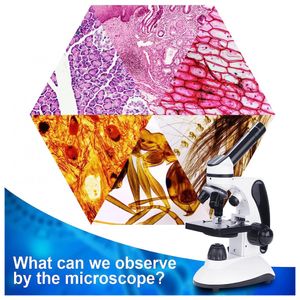 image-64c31babe5d241ebaafe702a10902426 image-64c31babe5d241ebaafe702a10902426