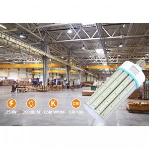 image-df27864d178e492da444231757520af4 image-df27864d178e492da444231757520af4