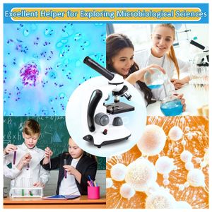 image-debfab895d294a08a6a702a2385cb792 image-debfab895d294a08a6a702a2385cb792