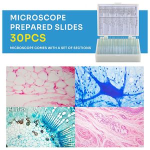 image-e6a2310dade042f79418d6d3e5876ad9 image-e6a2310dade042f79418d6d3e5876ad9