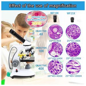 image-0675ee23913949908a620098bbc2e51f image-0675ee23913949908a620098bbc2e51f