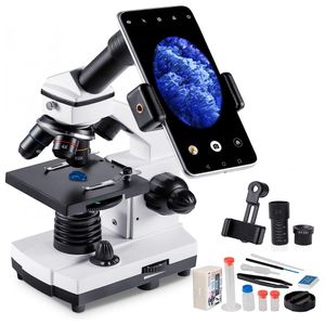 image-b45ae9b4b79447b48cb56c35cf164ac4