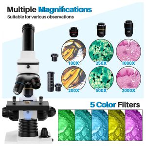 image-42fcfbad4a354ba9b2ee058efe825456 image-42fcfbad4a354ba9b2ee058efe825456