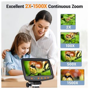 image-6f3e5b1773364a2dafccb3a8bc693fe3 image-6f3e5b1773364a2dafccb3a8bc693fe3