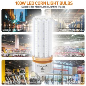 image-e831d24e9be2404aa23cb8ff59ae8ae0 image-e831d24e9be2404aa23cb8ff59ae8ae0