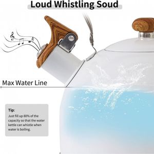 image-74e81f84d7a64fbf9839efd697db6463 image-74e81f84d7a64fbf9839efd697db6463