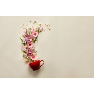 image-699b4c12cdee43a8a7fb8bae72b59aba image-699b4c12cdee43a8a7fb8bae72b59aba