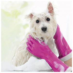 image-cc933e6a9d8443249133420ce28cc2e1 image-cc933e6a9d8443249133420ce28cc2e1