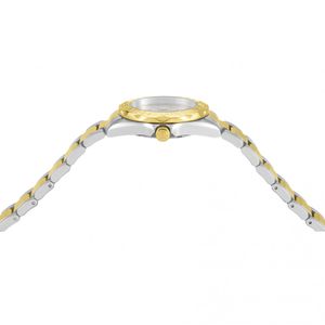 image-25928236df2041f8b63c4b81a0921040 image-25928236df2041f8b63c4b81a0921040