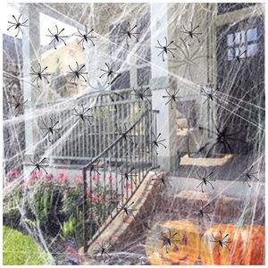 image-9d27ae3e3b184b19901bacd7cca52134